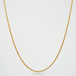 Snake 2mm (Gold)